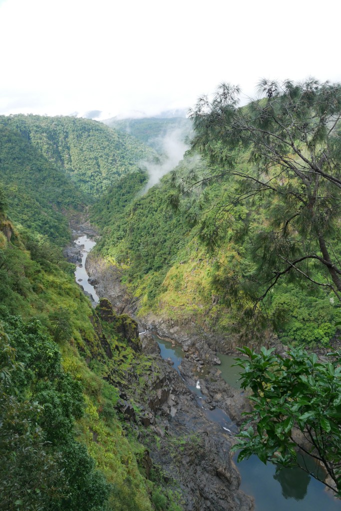 Gorges Barron river Kuranda forêt Daintree