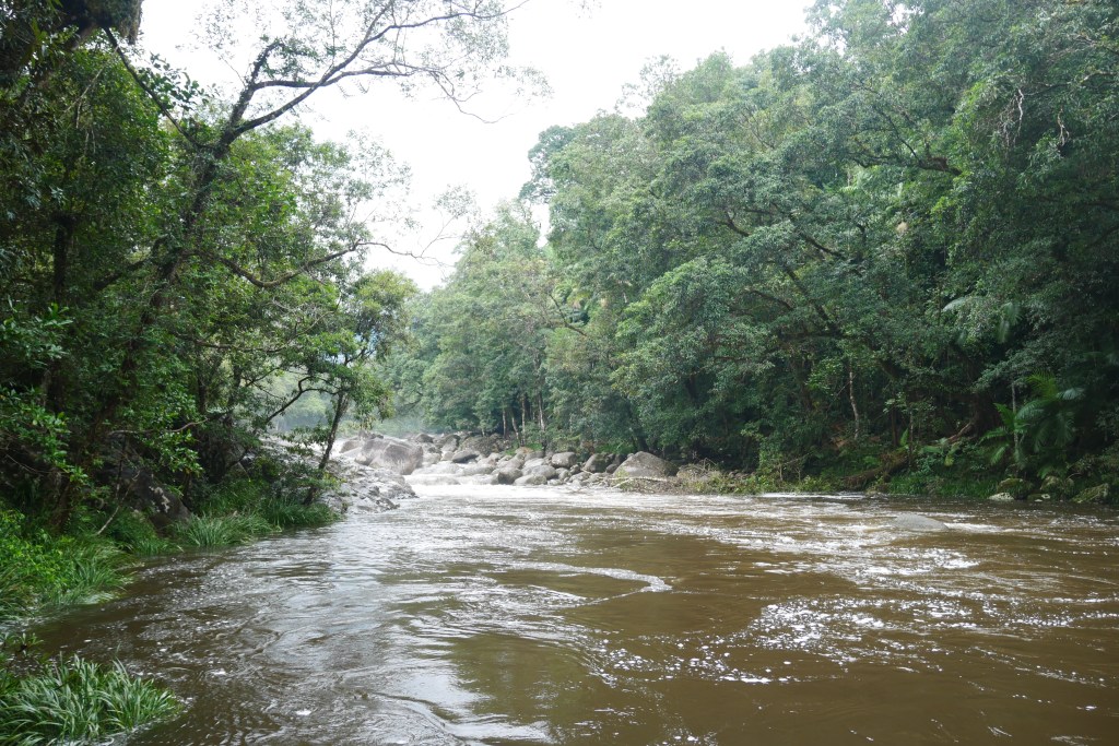 Mossman gorge rivière