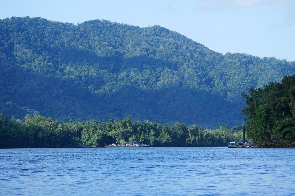 Daintree river