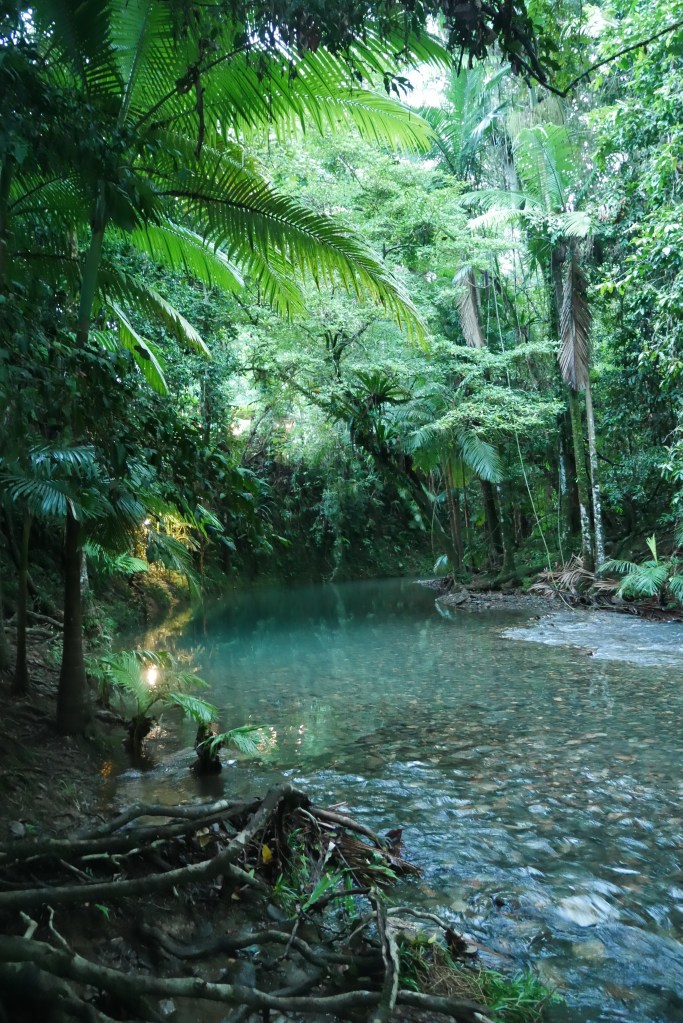 Waterhole Daintree Heritage Lodge