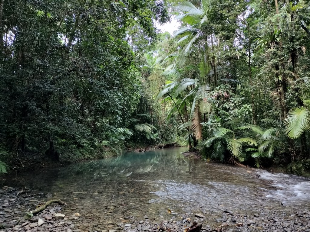 Waterhole Daintree Heritage Lodge