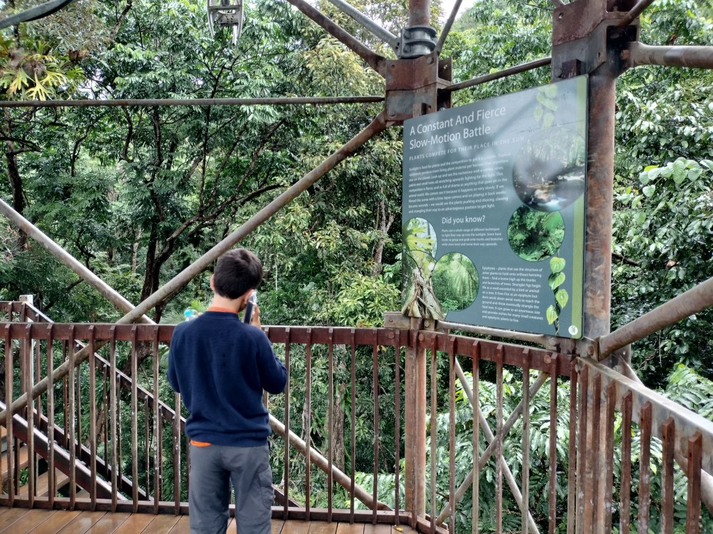 Enfant avec audioguide dqns la tour du Daintree Discovery center