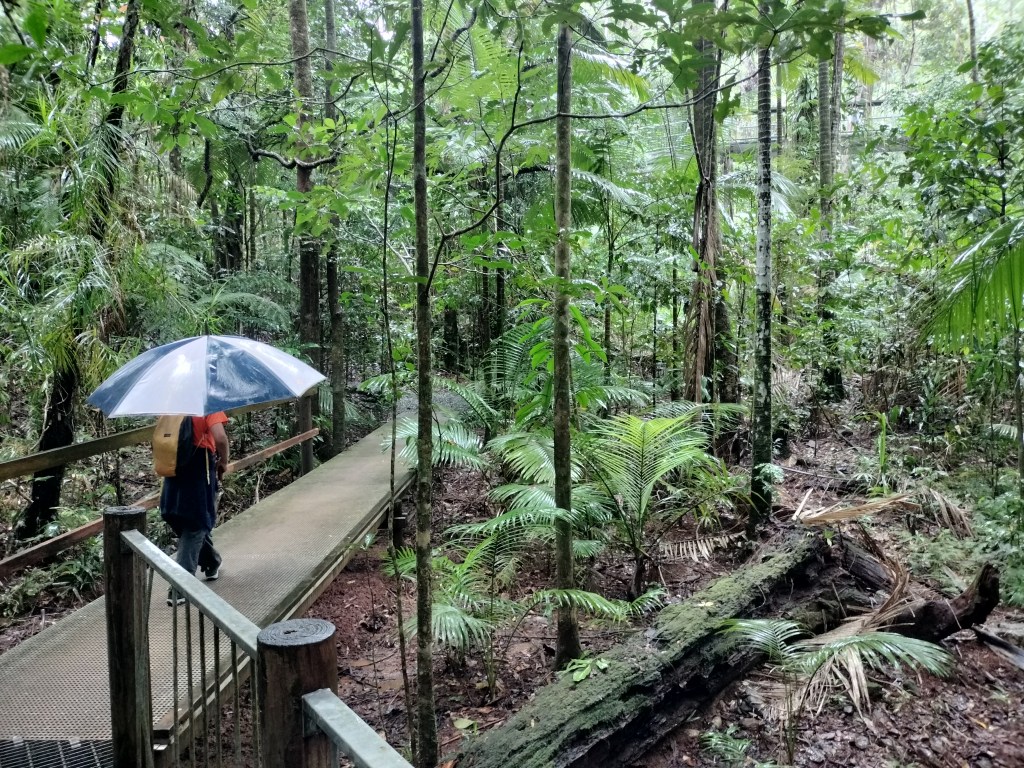 Passerelle Daintree discovery center