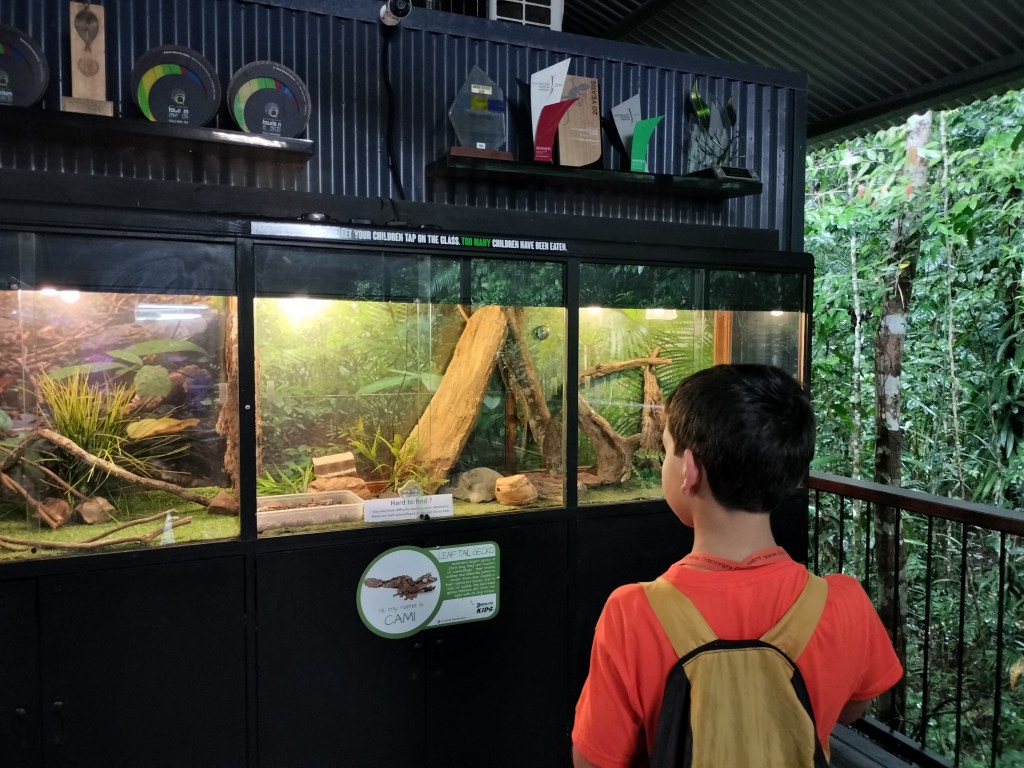 Vivarium Daintree Discovery Center