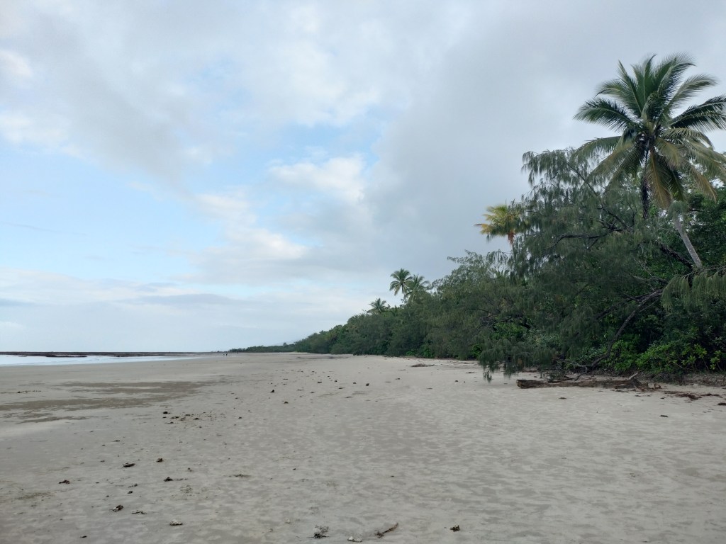 Plage Cap tribulation