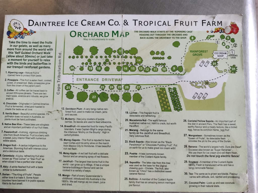 Plan daintree icecream company