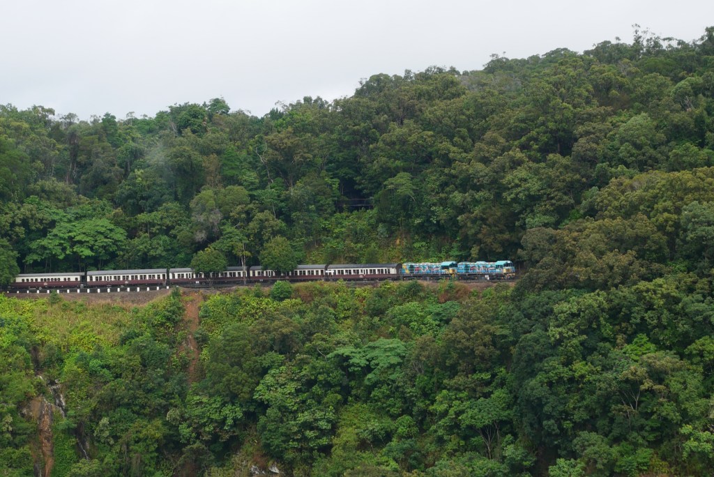 Train Kuranda scenic railway dans forêt Daintree