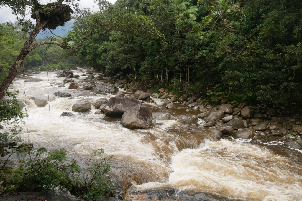 Mossman gorge rivière