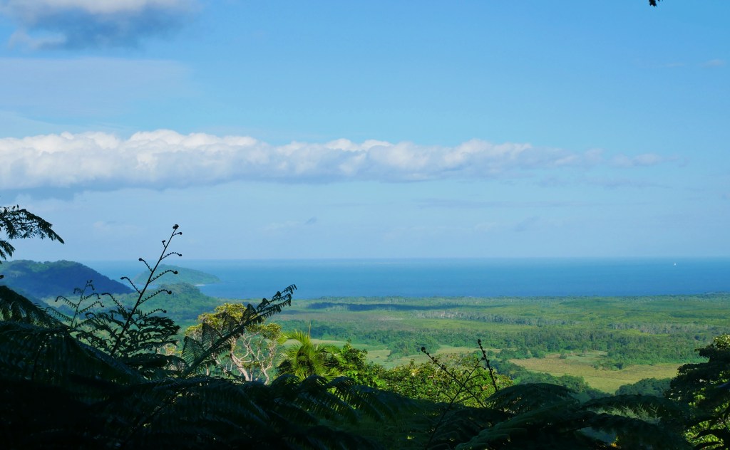 Vue d3puis le Alexandra lookout Daintree forest