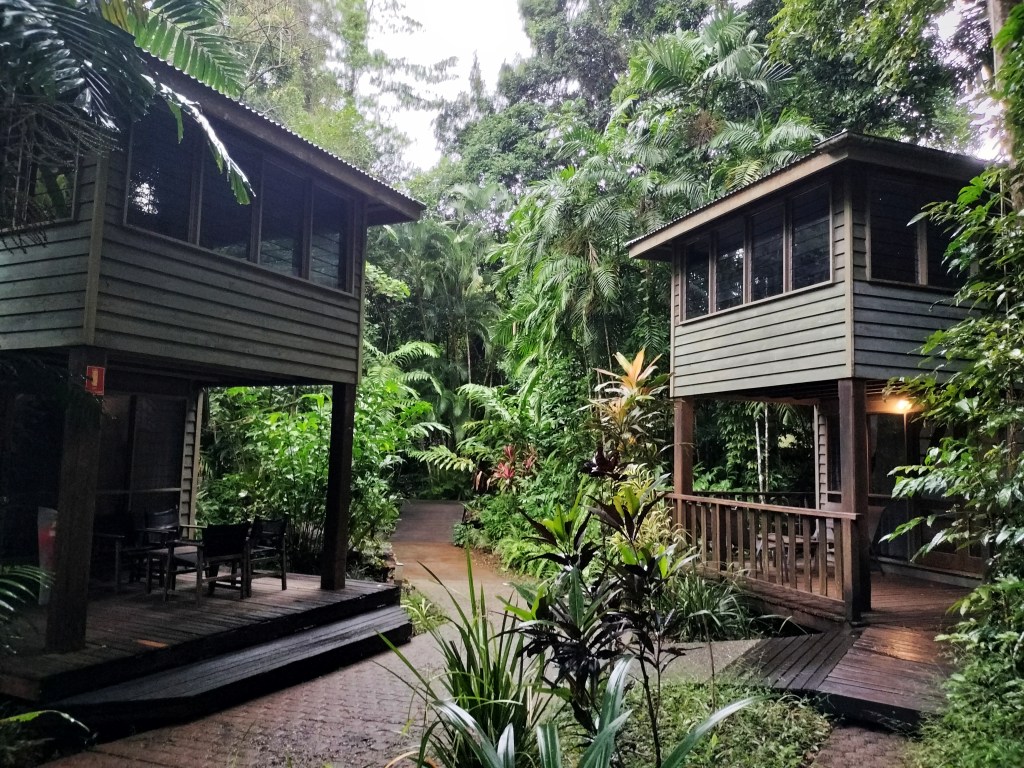 Batiments hotel ferntree rainforest lodge
