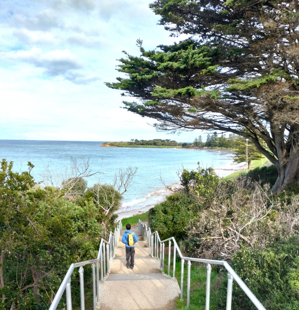 enfant descendant escalier plage de Torquay