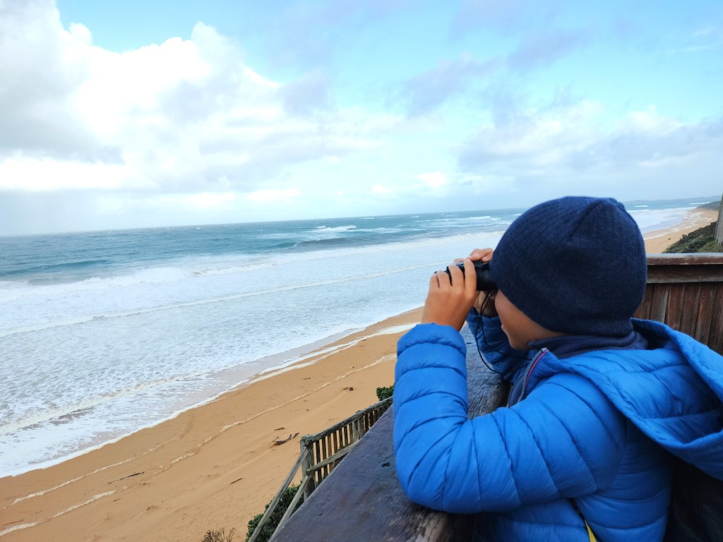 enfant observant la mer avec des jumelles pour chercher baleines à logans beach warrnambool