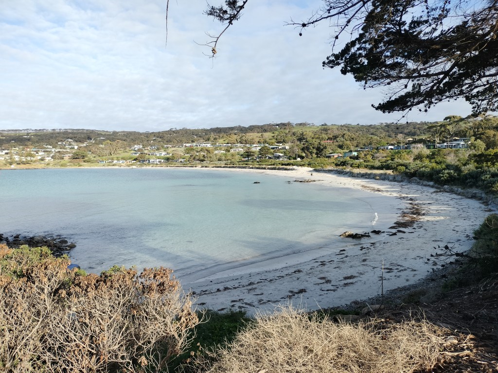 plage penneshaw kangaroo island