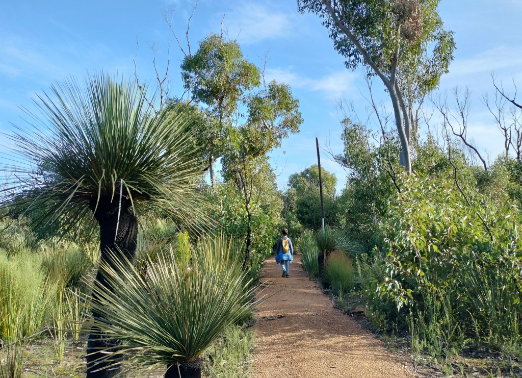 enfant sur chemin platypus walk flinders chase
