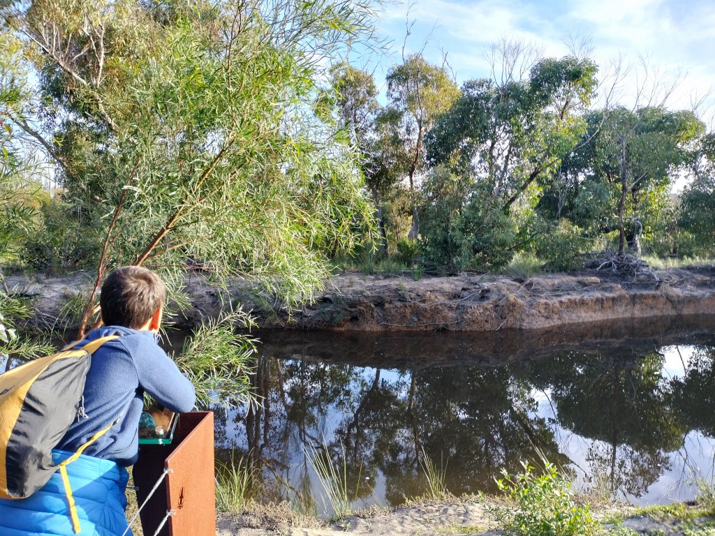enfant observant platypus waterhol flinders chase kangaroo island