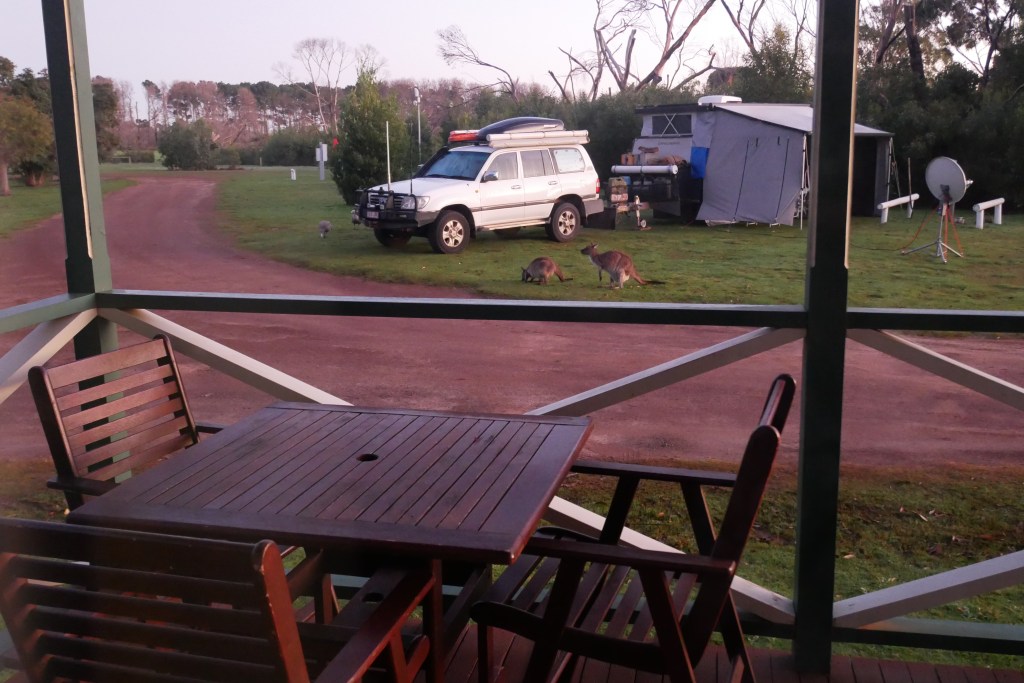 camping caravan park kangaroo island