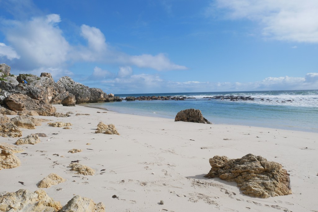 plage stokes bay kangaroo island