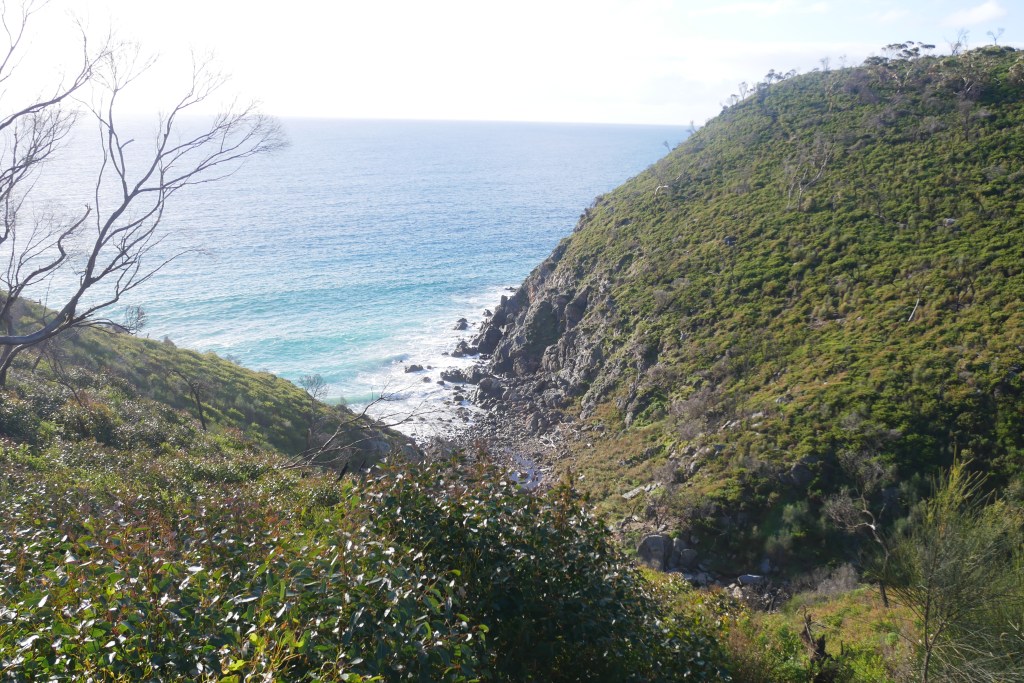cape borda harvey's return kangaroo island