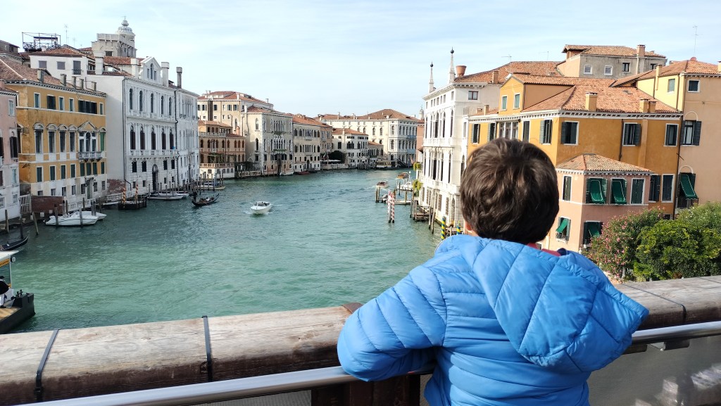 Vue du Grand Canal depuis le ponte dell'accademia Venise