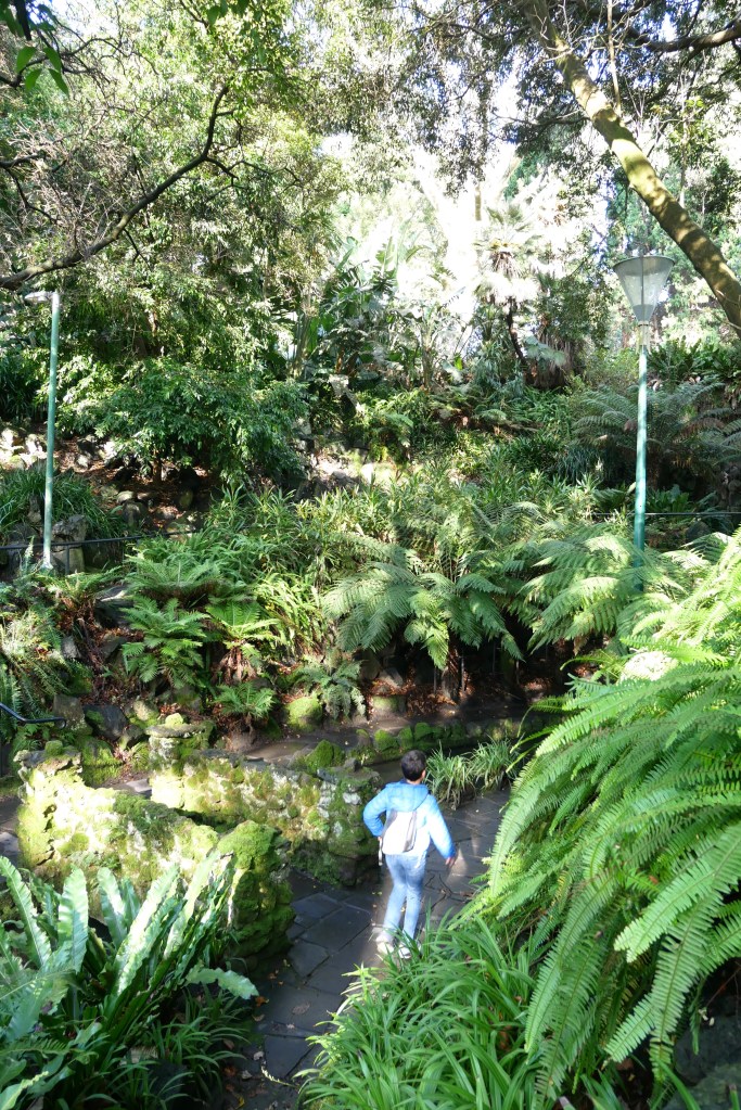 Fern Gully Health and Wellbeing Garden Melbourne