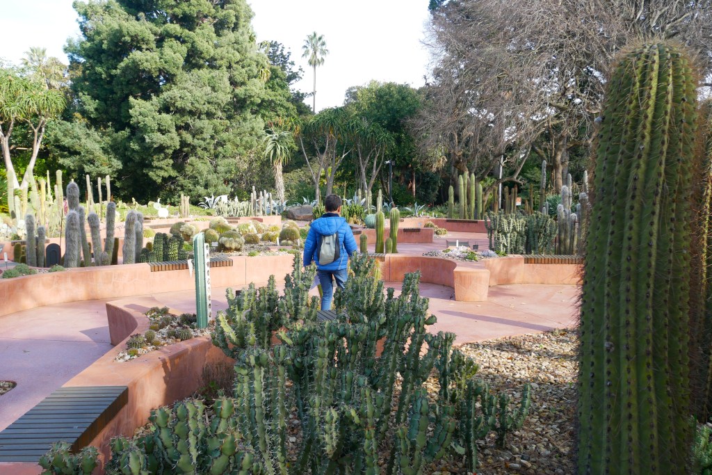 Cactus Royal Botanic Gardens Melbourne