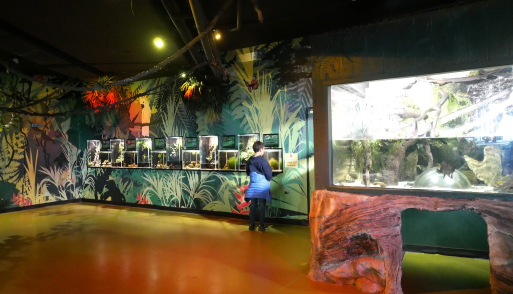 Enfant regardant les vitrines aquarium Sea Life Melbourne