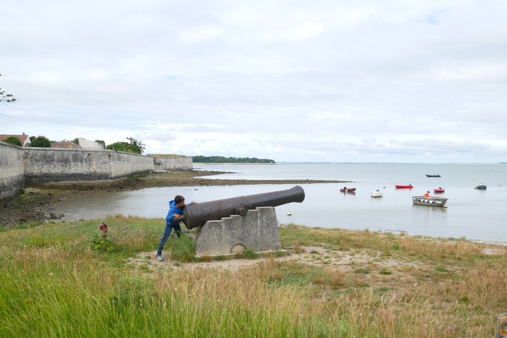 Canon et fort de l'île d'aix