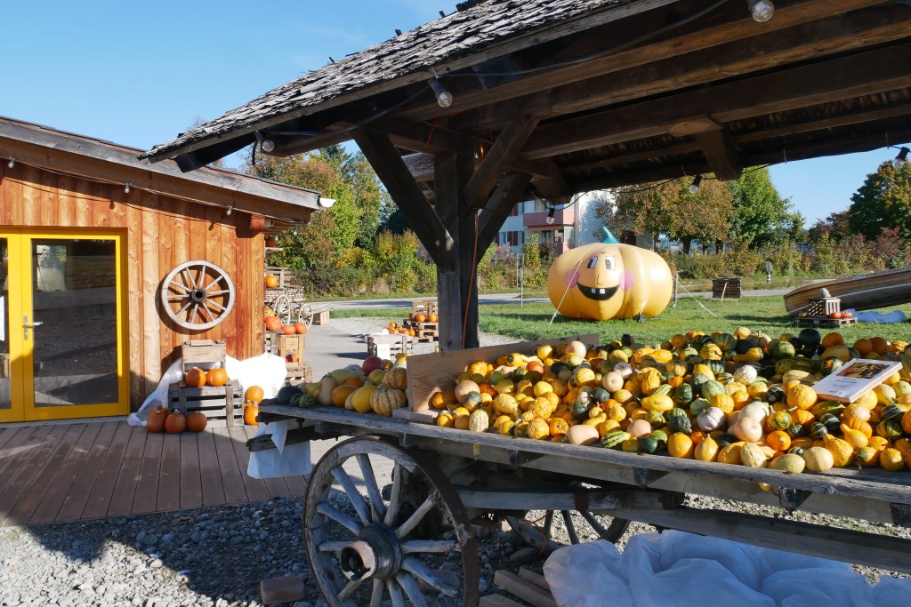 Vente courge automne Berne