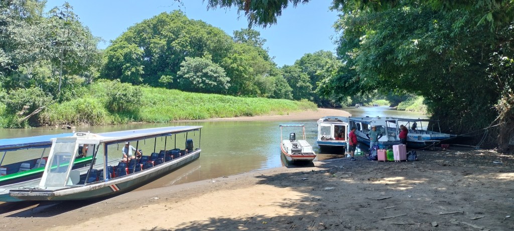 Embarcadère La Pavona Tortuguero Costa Rica