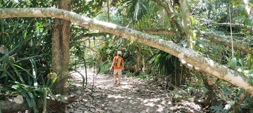 Enfant sur le sentier du parc national de Tortuguero Costa Rica