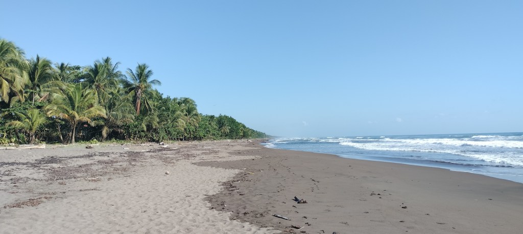 Plage Tortuguero Costa Rica