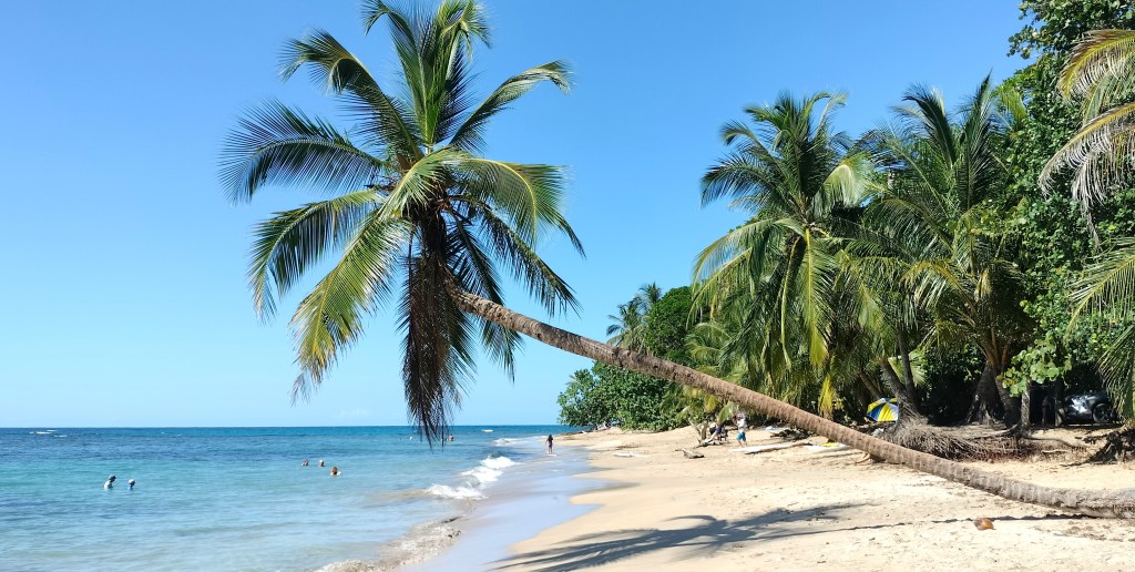 Playa Punta Uva Arrecife Costa Rica