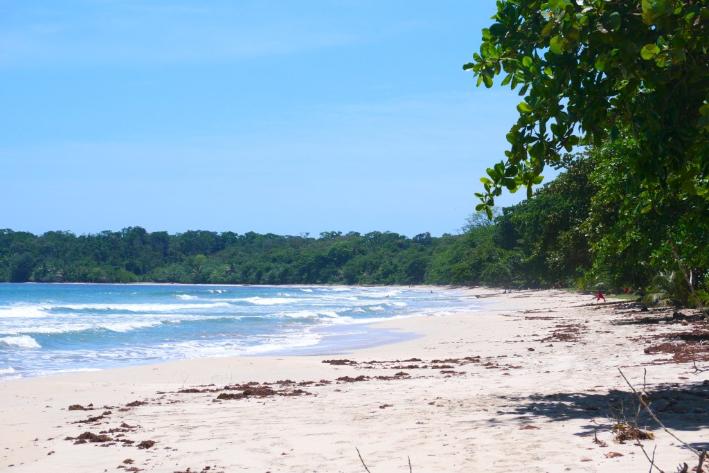 Playa Blanca Cahuita Costa Rica