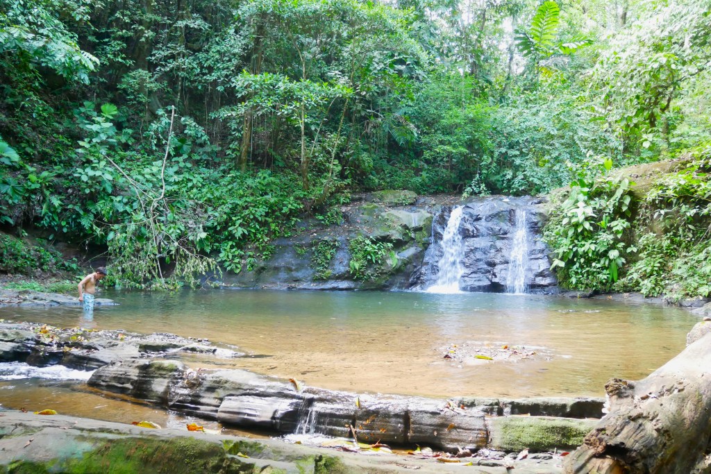 Cascade Dos Aguas Puerto Viejo Costa Rica