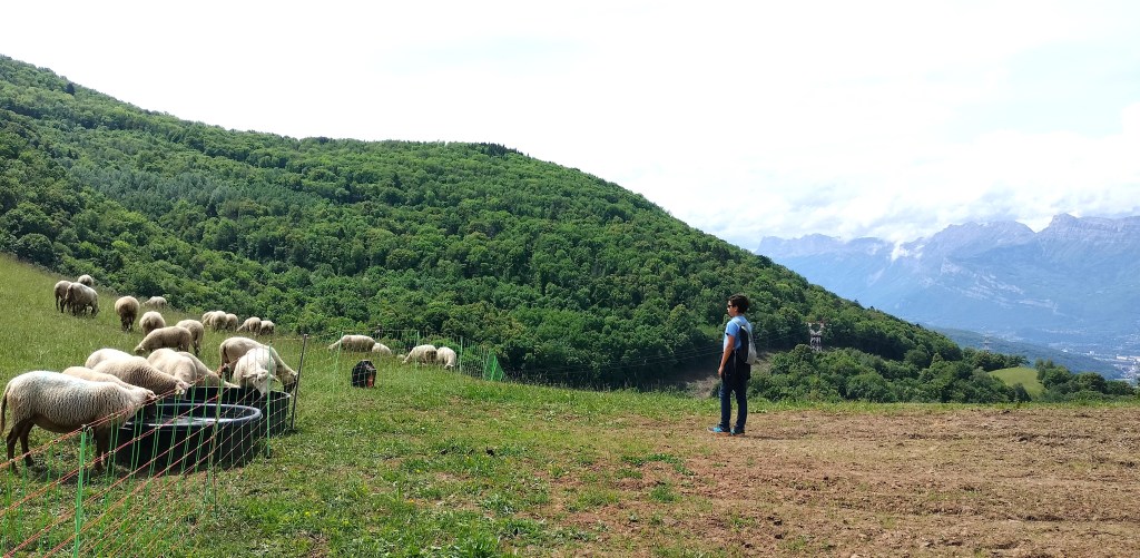 Randonnée colline du Mûrier