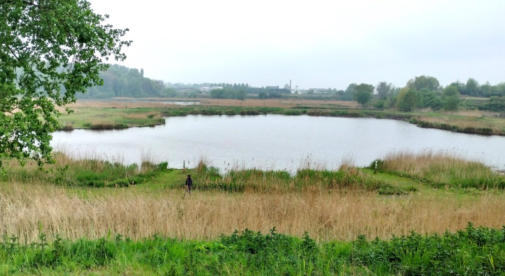Polder Kruibeke Anvers