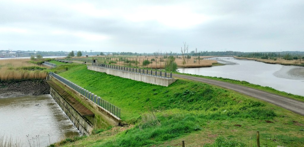 Polder Kruibeke Anvers