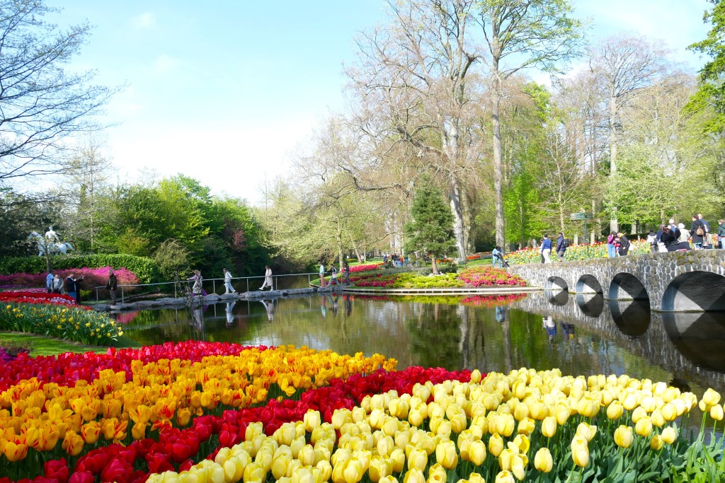 Tulipes au bord de la rivière et pont Keukenhof