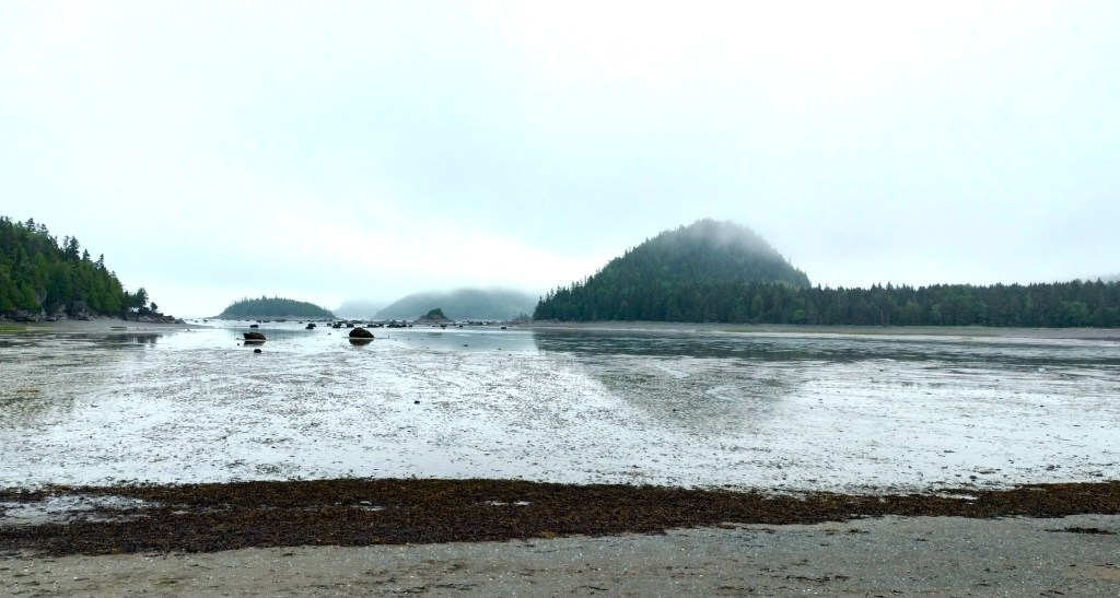 Baie des cochons parc national du Bic