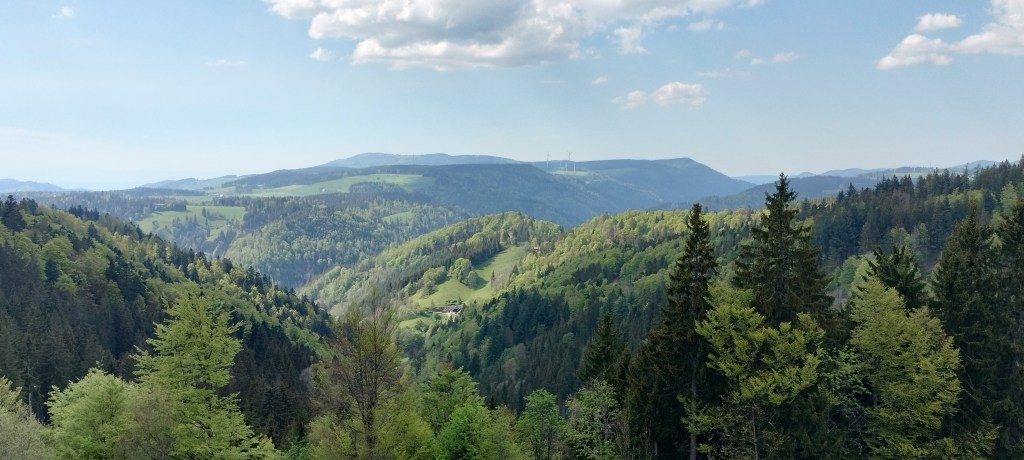 Panorama Forêt-Noire