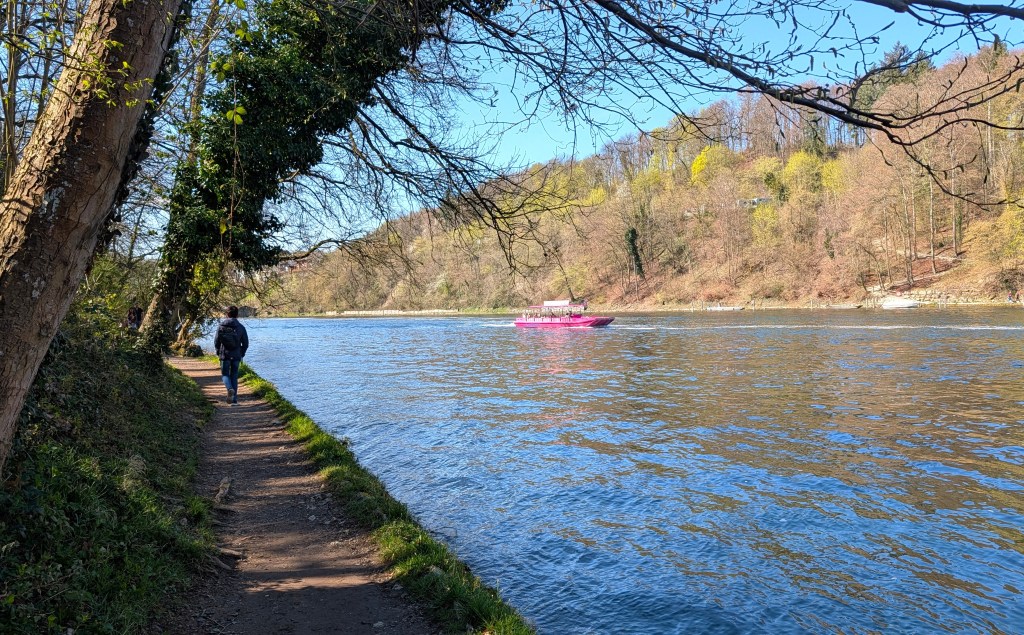 Sentier bord du Rhin chutes du Rhin